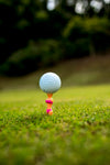 Golf Tees