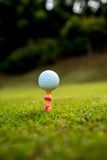 Golf Tees